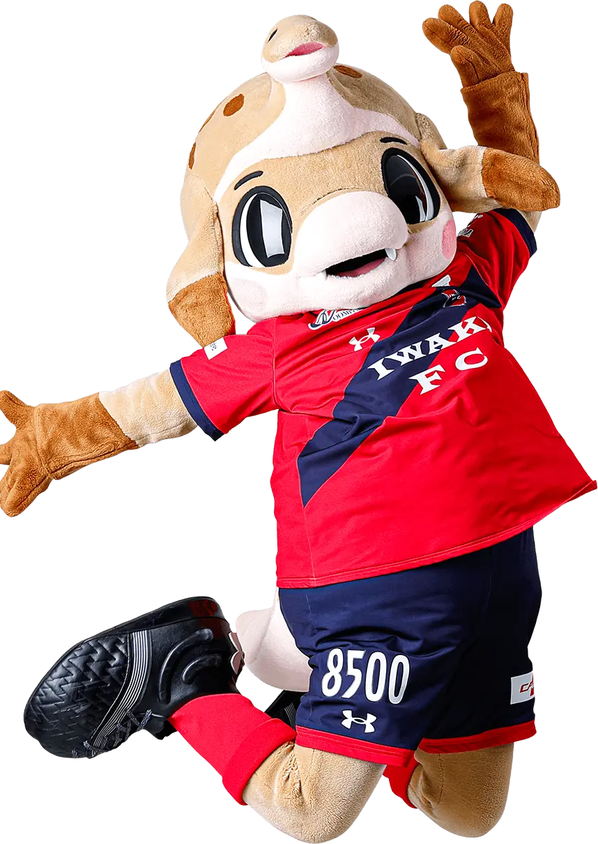 ハーマー＆ドリー